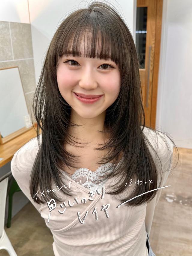 7月12日(日)20時~レイヤーカットモデル募集 (謝礼¥5000) 🫧
