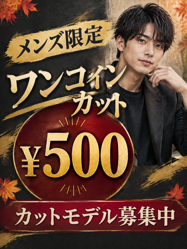 メンズ500円カット