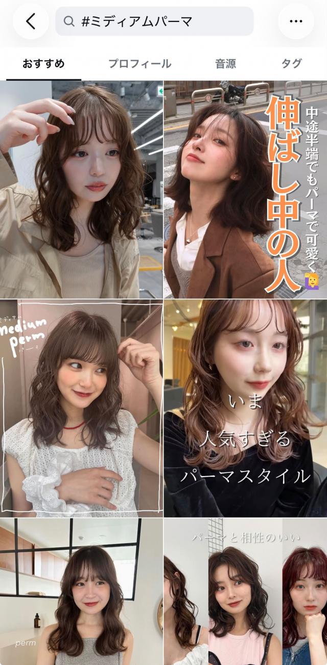 コンテストモデル募集