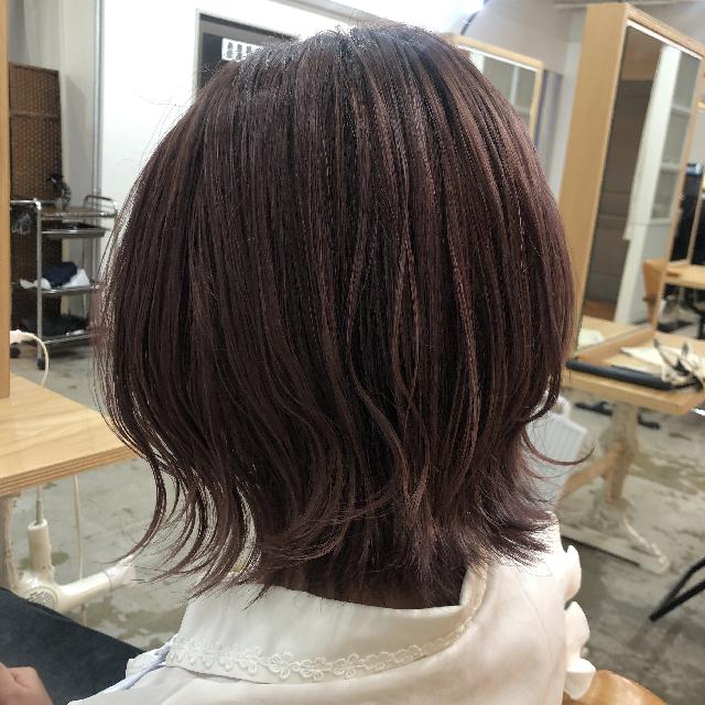 平日限定⭐︎お時間要相談⭐︎ブリーチなしダブルカラーモデルさん募集!