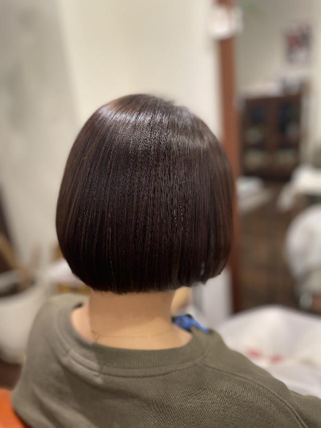 平日18時以降の、モデルさん募集