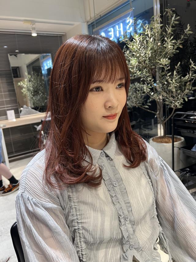 ロングレイヤーカットモデル募集‼️