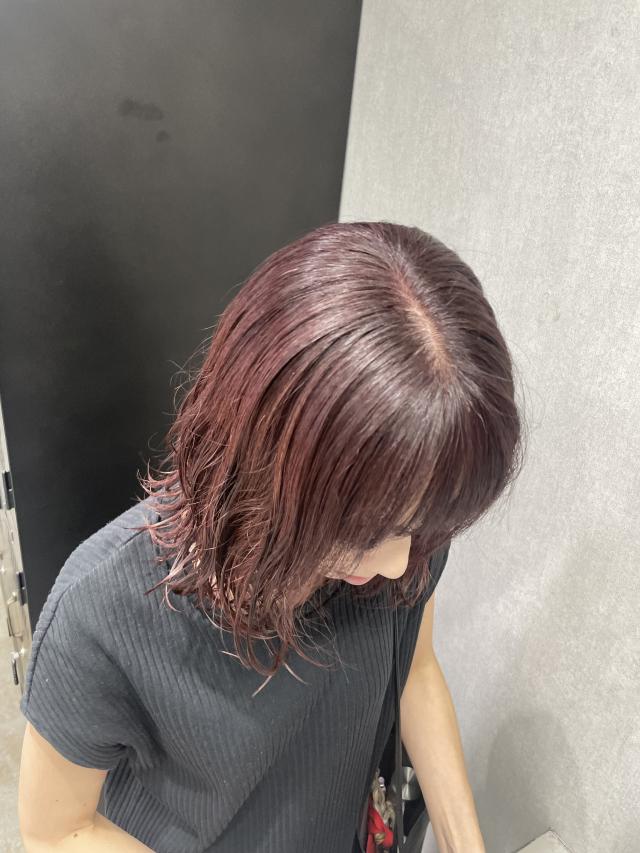 カラー全頭3600円