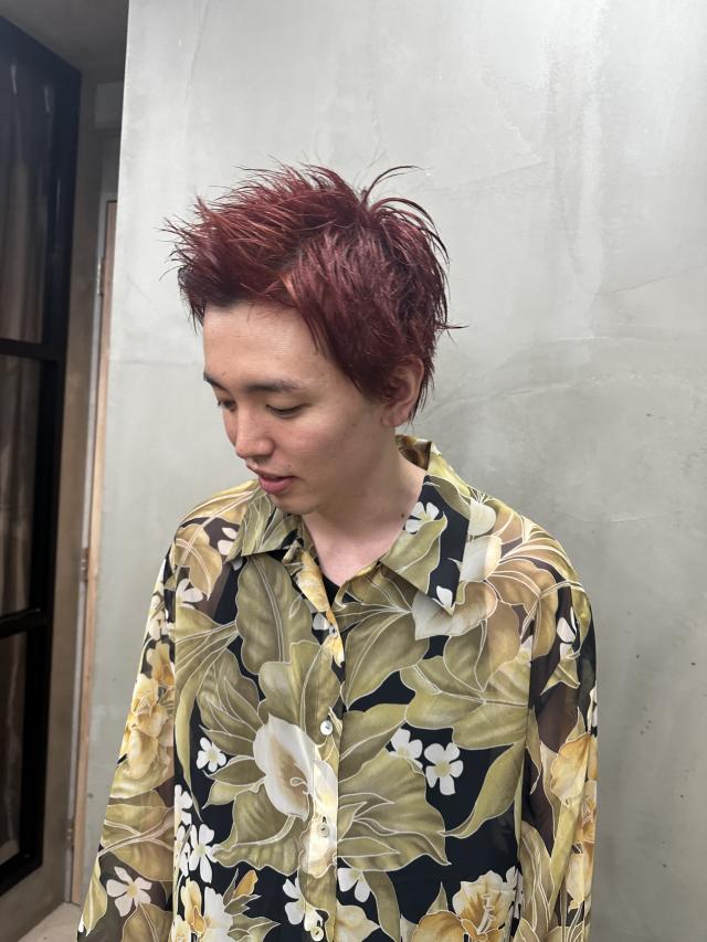 初回限定価格❣️ ブリーチリタッチ🦖+ワンカラー全頭🦁
