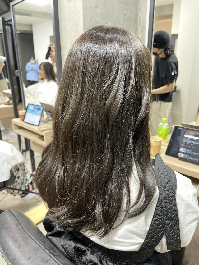最終試験カット(ロング10cm以上orショート5cm以上)+4step高濃度トリートメント ¥0✨✨✨