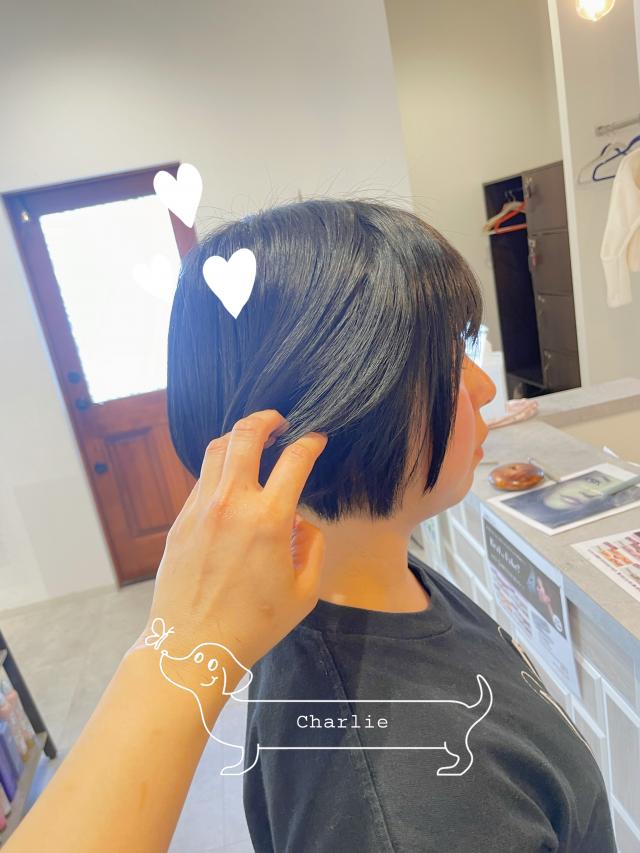 モデカ限定クーポン【カットのみ】
