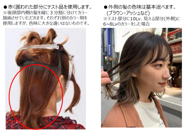 ヘアカラーの施術(フルカラー)+約1か月後の経過チェック