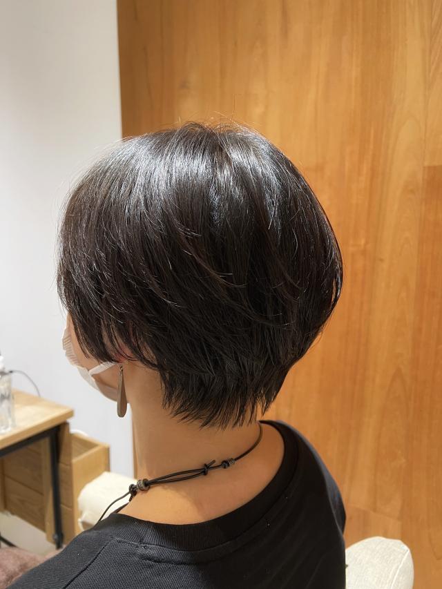 【 平日20時 】レディース 🌟 ショートカットモデル 💇🏻♀️( 戸塚店にてご案内 )