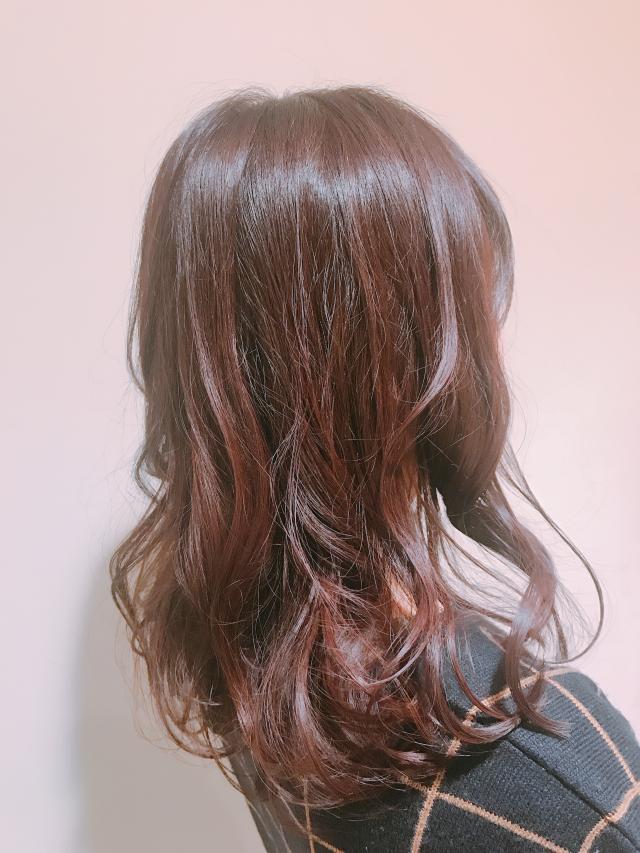 19時以降のカットモデルさん大募集中!
料金無料!
