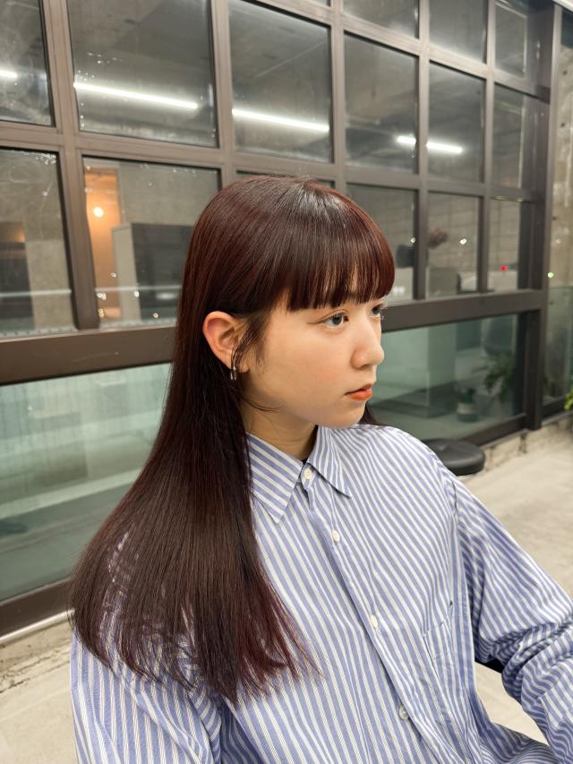 カラーモデル様募集!🩶ワンカラー3000円🛋️