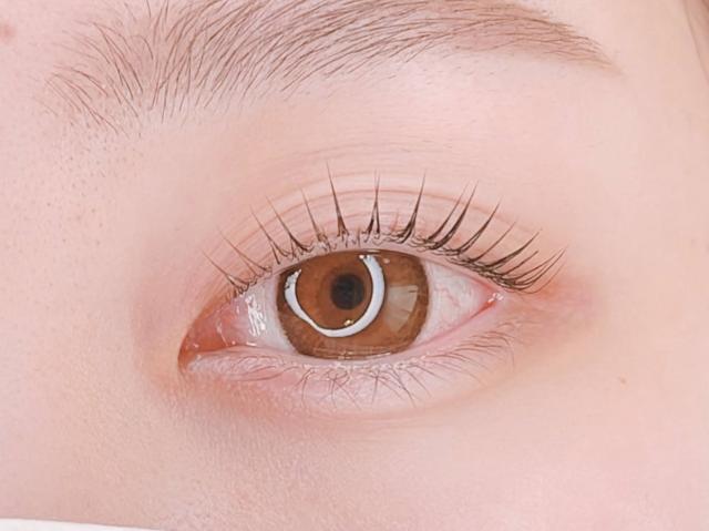 【無料】平日17時以降/まつげ・ 眉フォトモデル募集