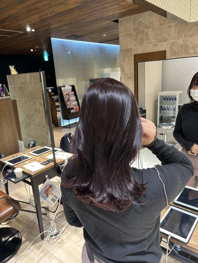 2月2日9時30分〜カラーモデル様募集‼️