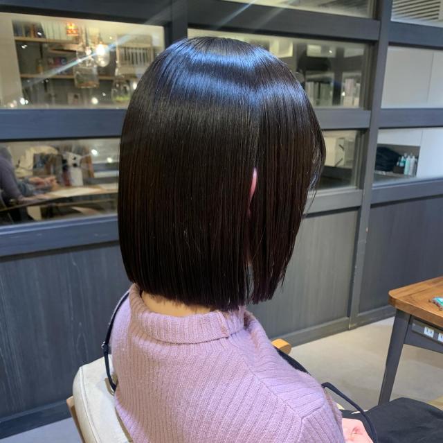 カットモデル✂︎