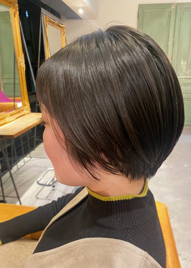 マッシュショート募集中!!