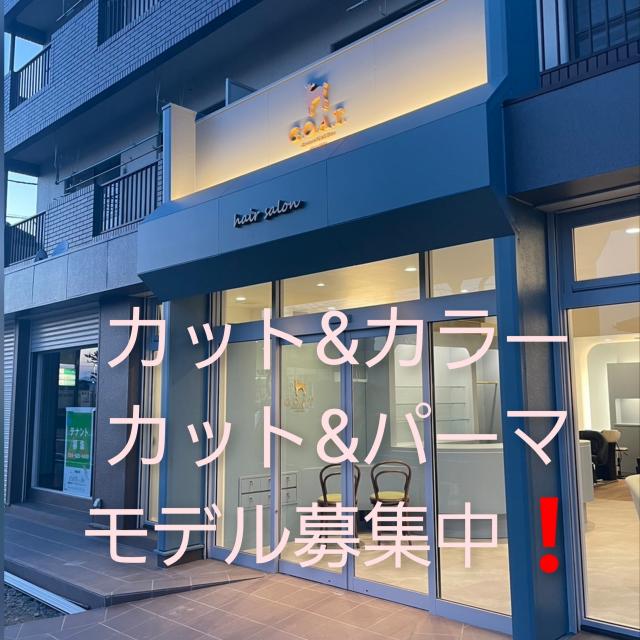 随時❕ カット&カラー 撮影モデル募集中
