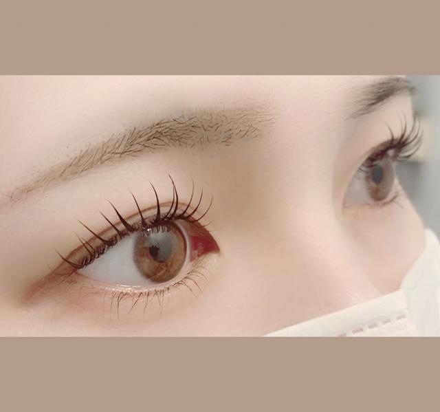 フラットラッシュ100本