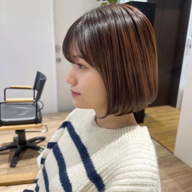 カットモデル募集中です