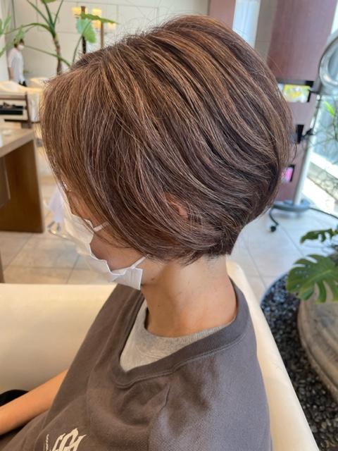 【無料✨】6/28((金)9:30-11:00 白髪染めモデル様急募!!!