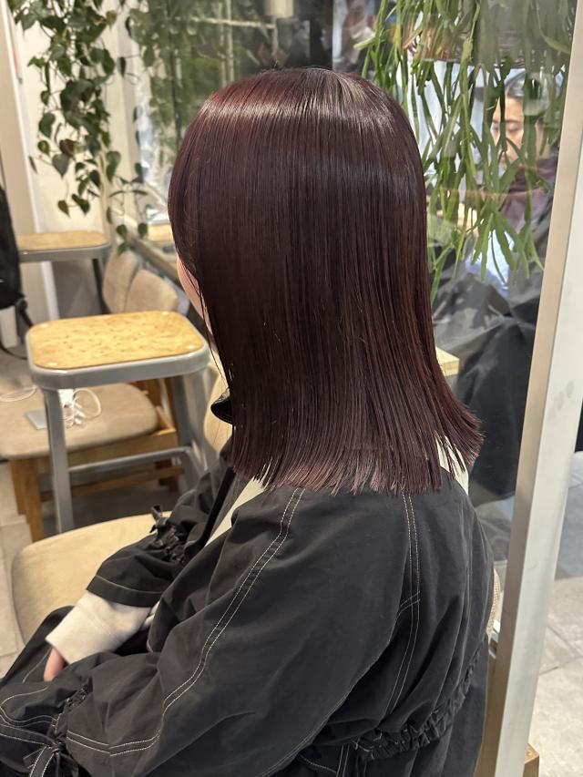 【平日限定🩶】似合わせカット+ケアカラー (クイックトリートメント)